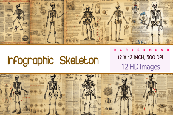 Infographic Skeleton